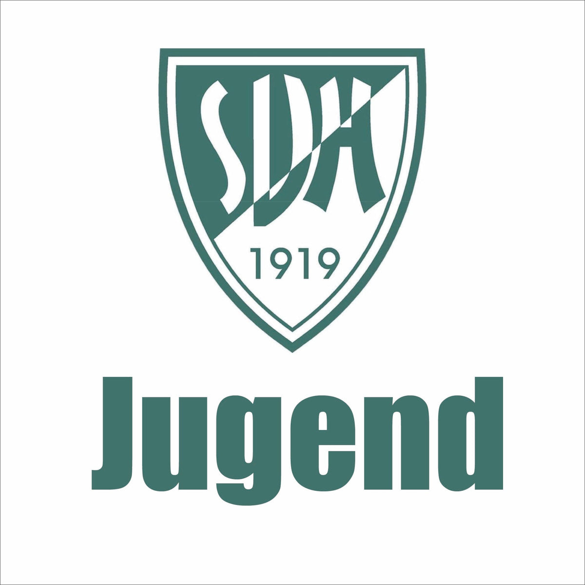 Jugend SV Heidingsfeld